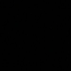 Meet your Posher, Gabby